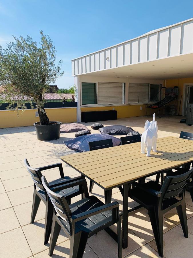 La Terrasse Du Parc Lägenhet Marckolsheim Exteriör bild